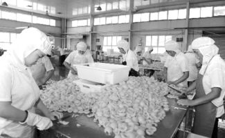農產品進工廠 初級食用農產品的收入增值之路