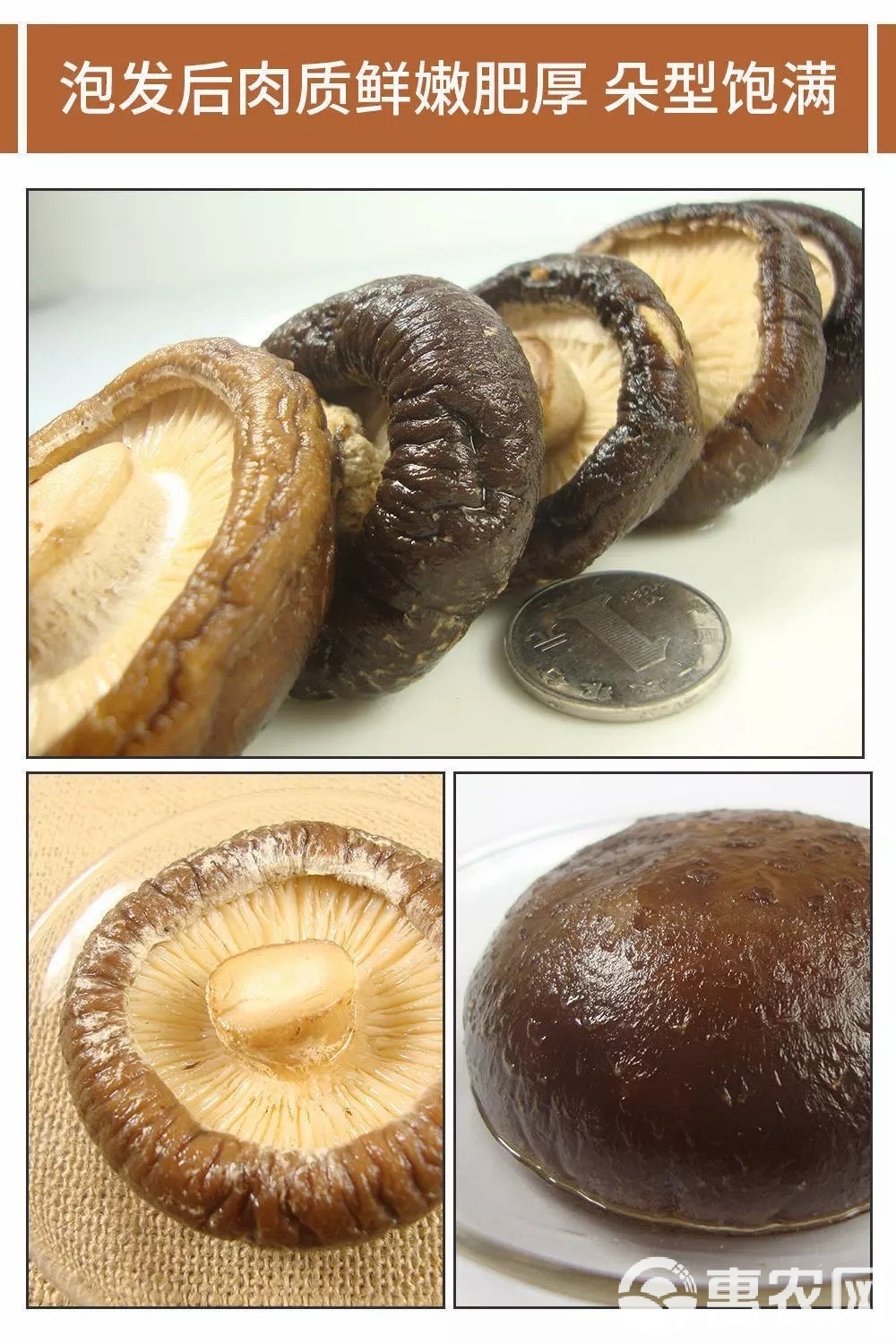 深山珍饈 野生冬菇與珍珠小香菇的養(yǎng)生之道